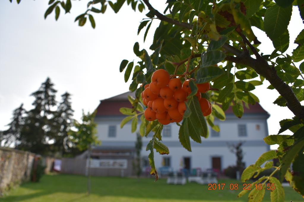 Bagolyvar Fogado- Ujfalusy Marton Vendeghaz Zirc Exterior photo